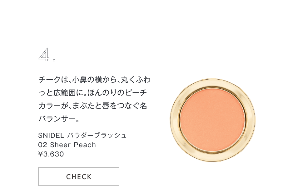 パウダーブラッシュ02