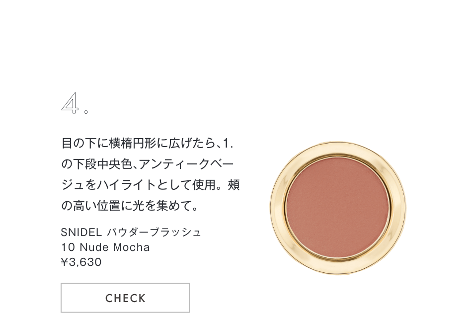 パウダーブラッシュ 10