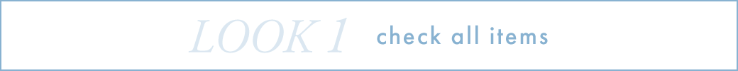 LOOK1 check all items