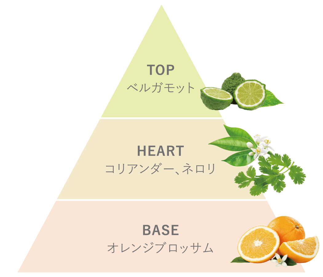 TOP：ベルガモット、HEART：コリアンダー、ネロリ、BASE：オレンジブロッサム